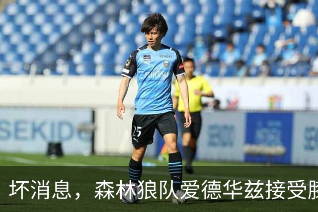 坏消息，森林狼队爱德华兹接受膝关节镜手术，将缺席两个月