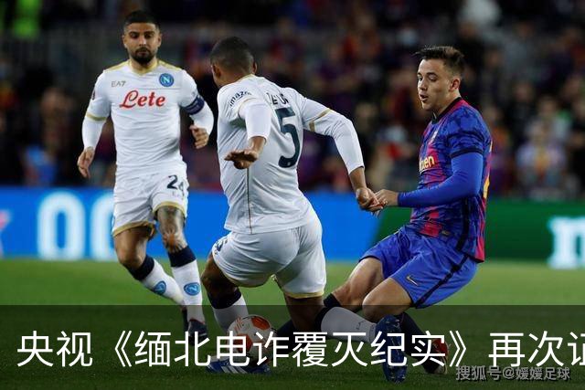 央视《缅北电诈覆灭纪实》再次证实佘智江和黄有龙的联系，盆友们，真相快要大白了！