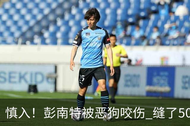 慎入！彭南特被恶狗咬伤 缝了50多针，所幸他的宠物犬英勇护主