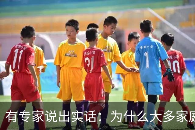 有专家说出实话：为什么大多家庭后悔买新能源汽车？原因很现实