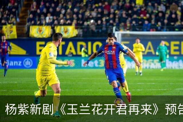 杨紫新剧《玉兰花开君再来》预告，方言环境故事代入感好强