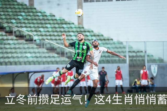 立冬前攒足运气！这4生肖悄悄蓄力，明年日子红火，有你家吗？