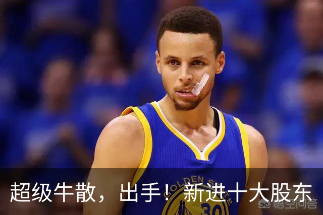 超级牛散，出手！新进十大股东