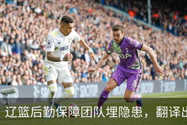 辽篮后勤保障团队埋隐患，翻译出错，赵继伟受伤，团队需重新磨合