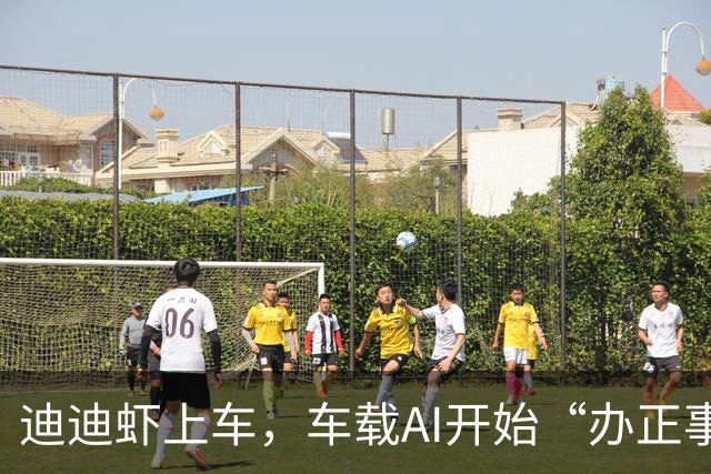 迪迪虾上车，车载AI开始“办正事”