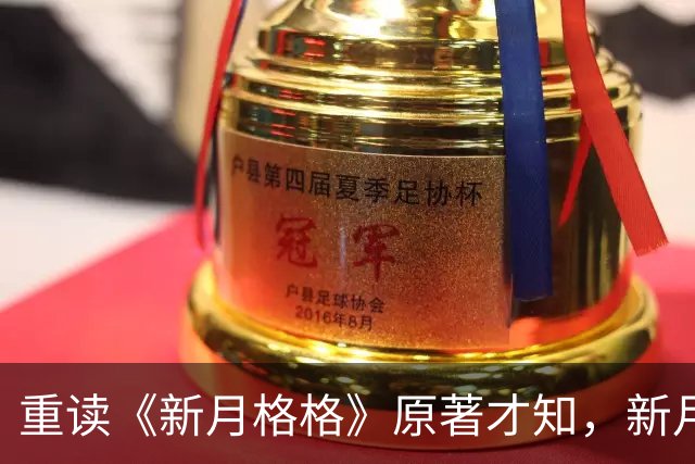 重读《新月格格》原著才知，新月若真嫁给了努达海的儿子，她会成为琼瑶笔下的秦可卿