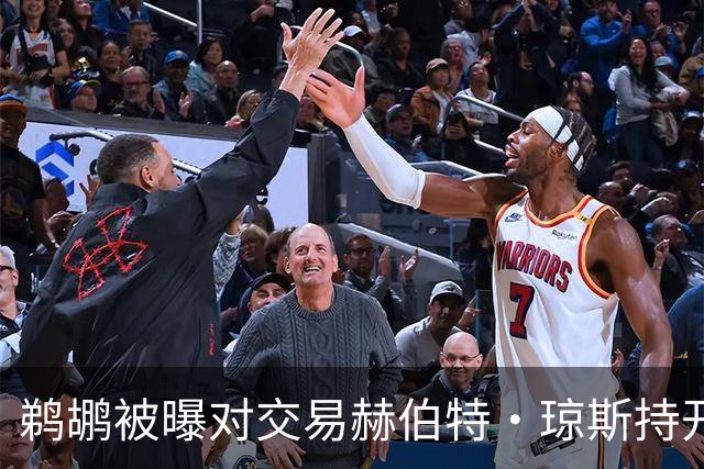 鹈鹕被曝对交易赫伯特·琼斯持开放态度，Stein辟谣：没这意愿