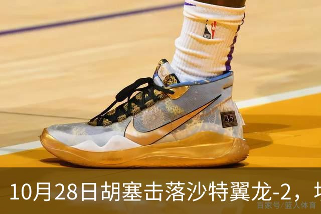 10月28日胡塞击落沙特翼龙-2，埃及议会三分之二多数授权防卫支援